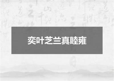 "奕叶芝兰真睦雍"的全诗出处及翻译赏析